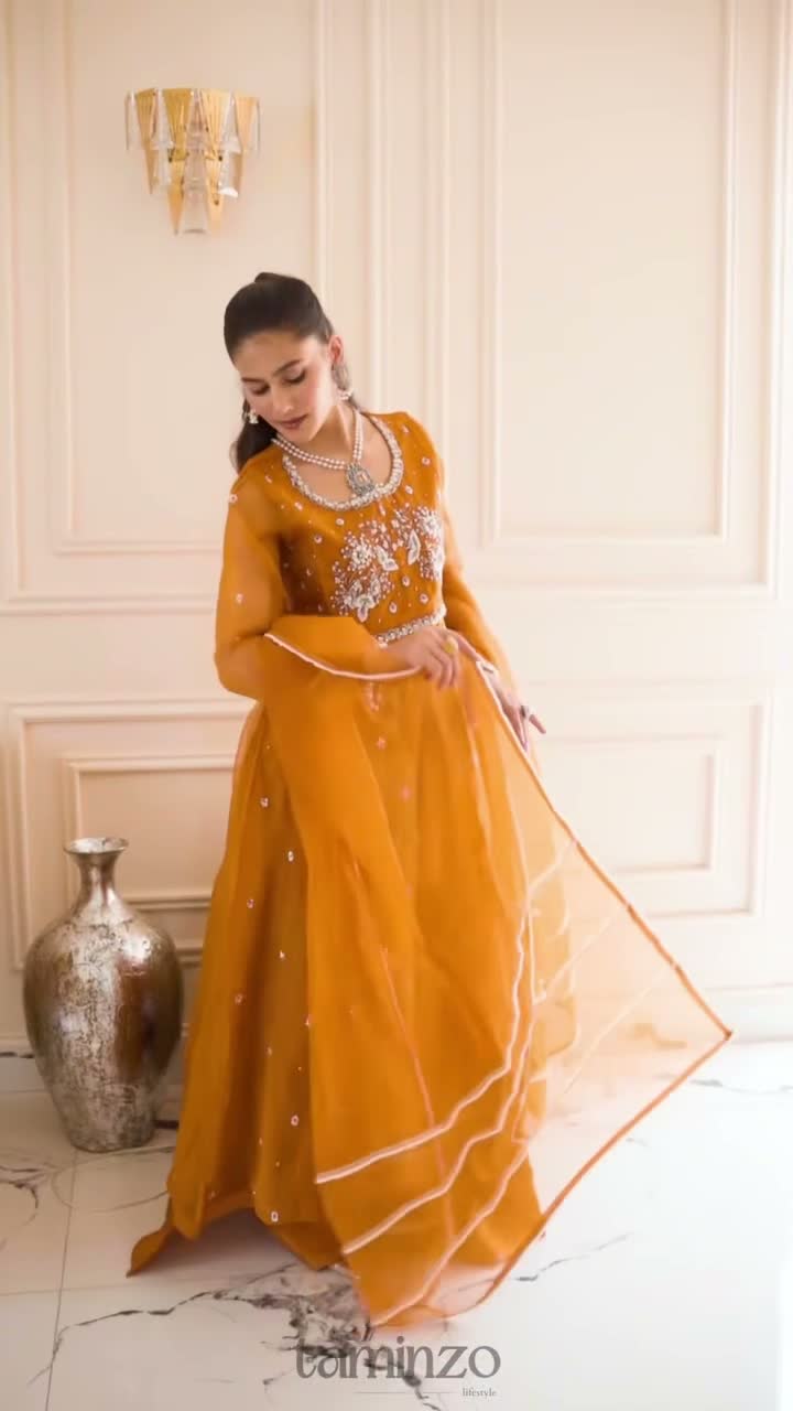 Allure By IH Luxe Formals Organza Embellished Lehenga-Coco